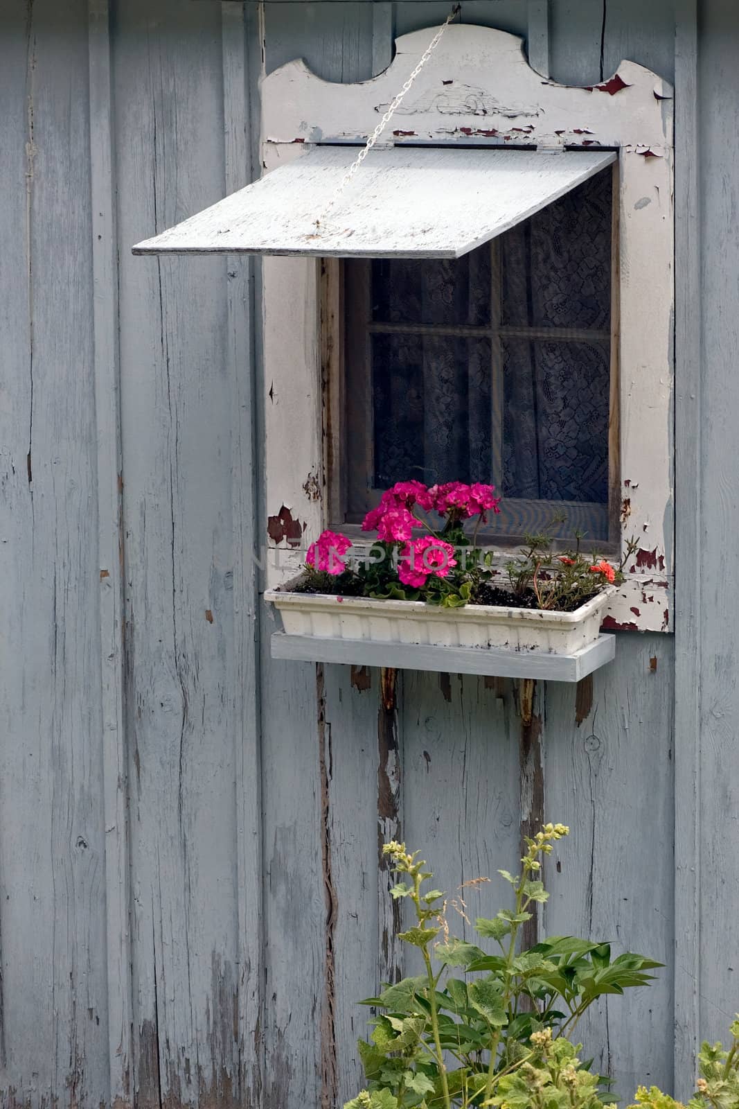 An old cottage wall with open window and flower box.