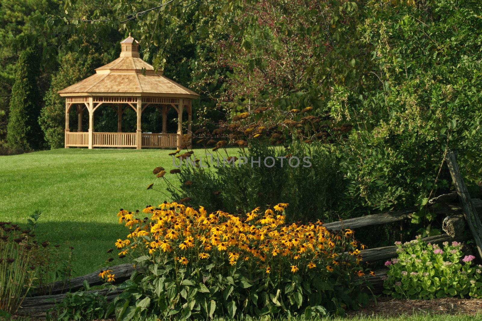 A gazebo in the distance at the University of Guelph Arboretum.