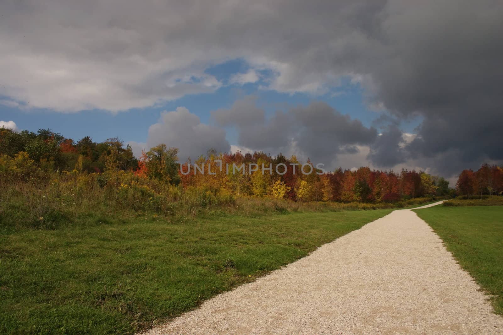 Fall colors along a walking path, with a moody sky.