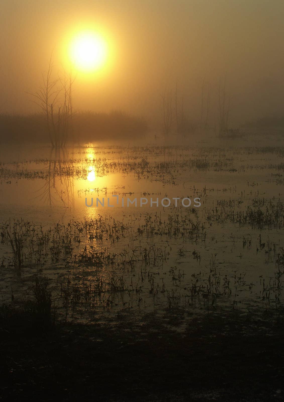 Polish landscape in November