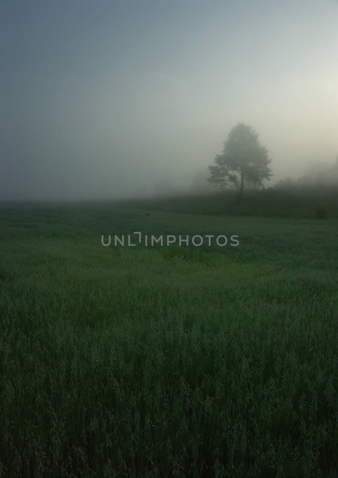 Polish landscape in November