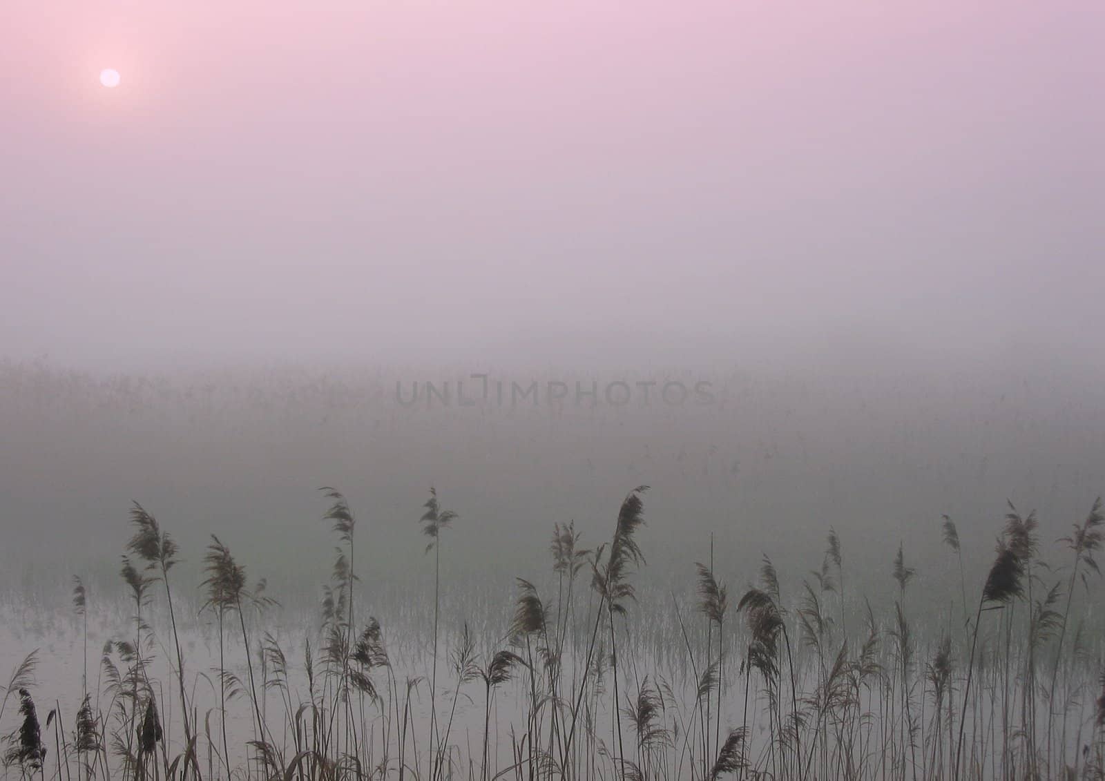 Polish landscape in November