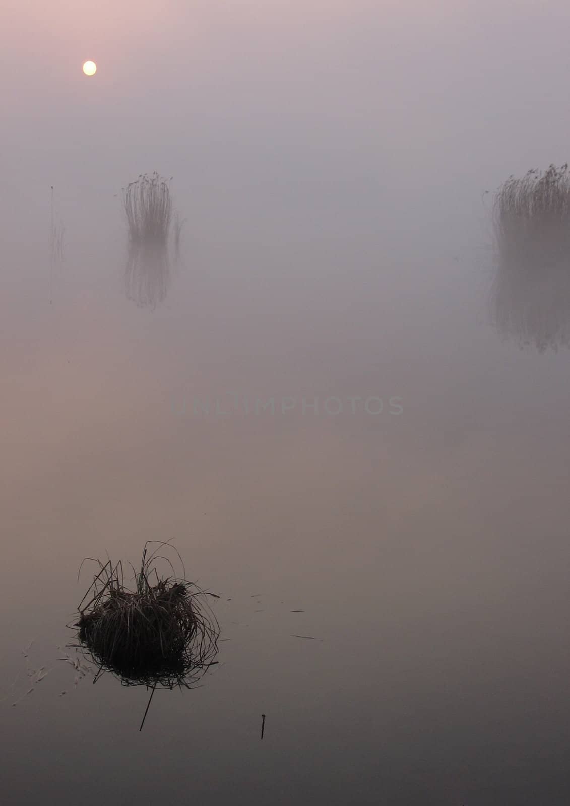 Early morning sunrise with mist on the field