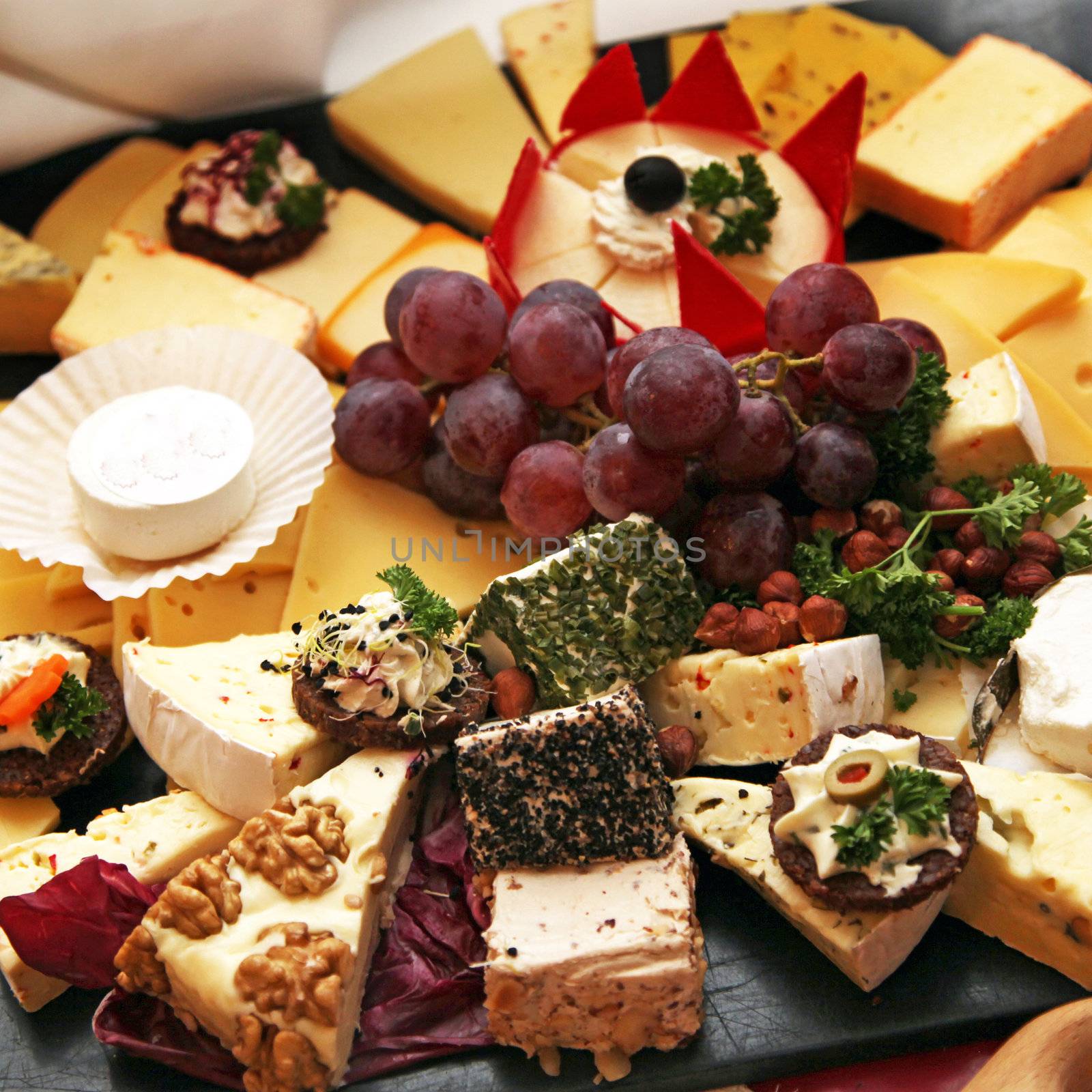 Different types of cheese on delicious buffet served-close-up
