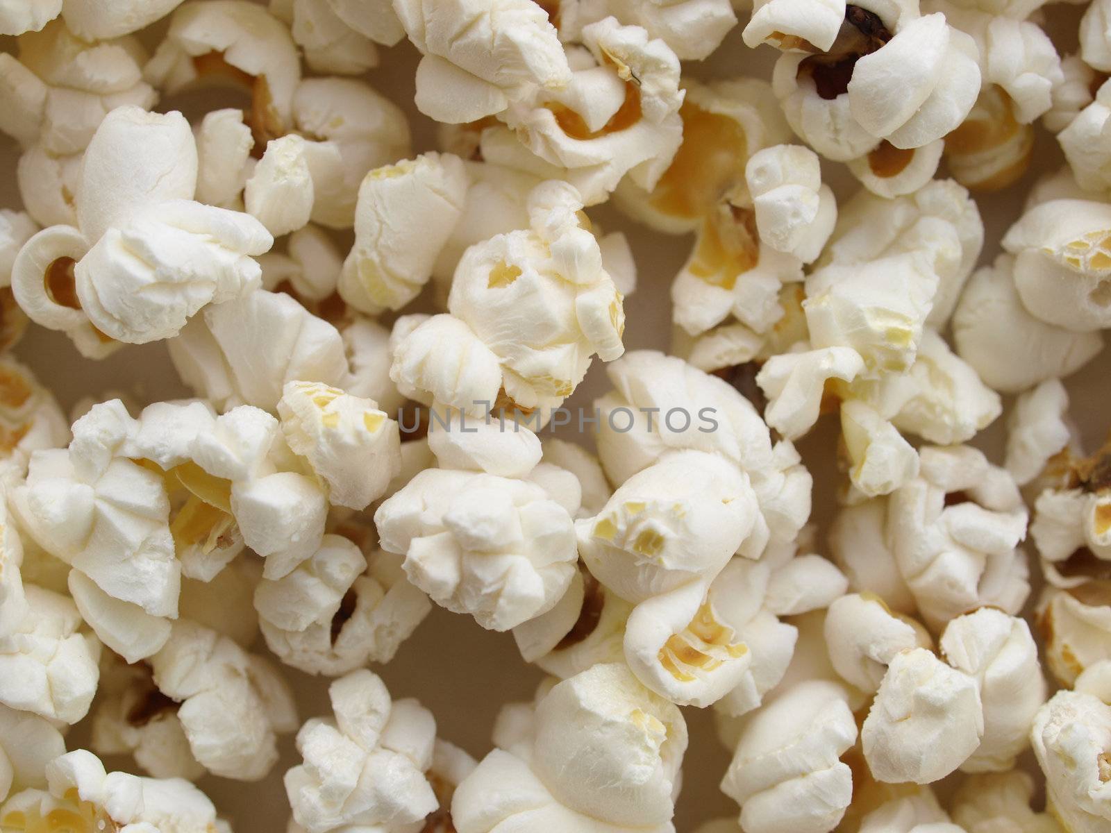 Pop corn maize useful as a background