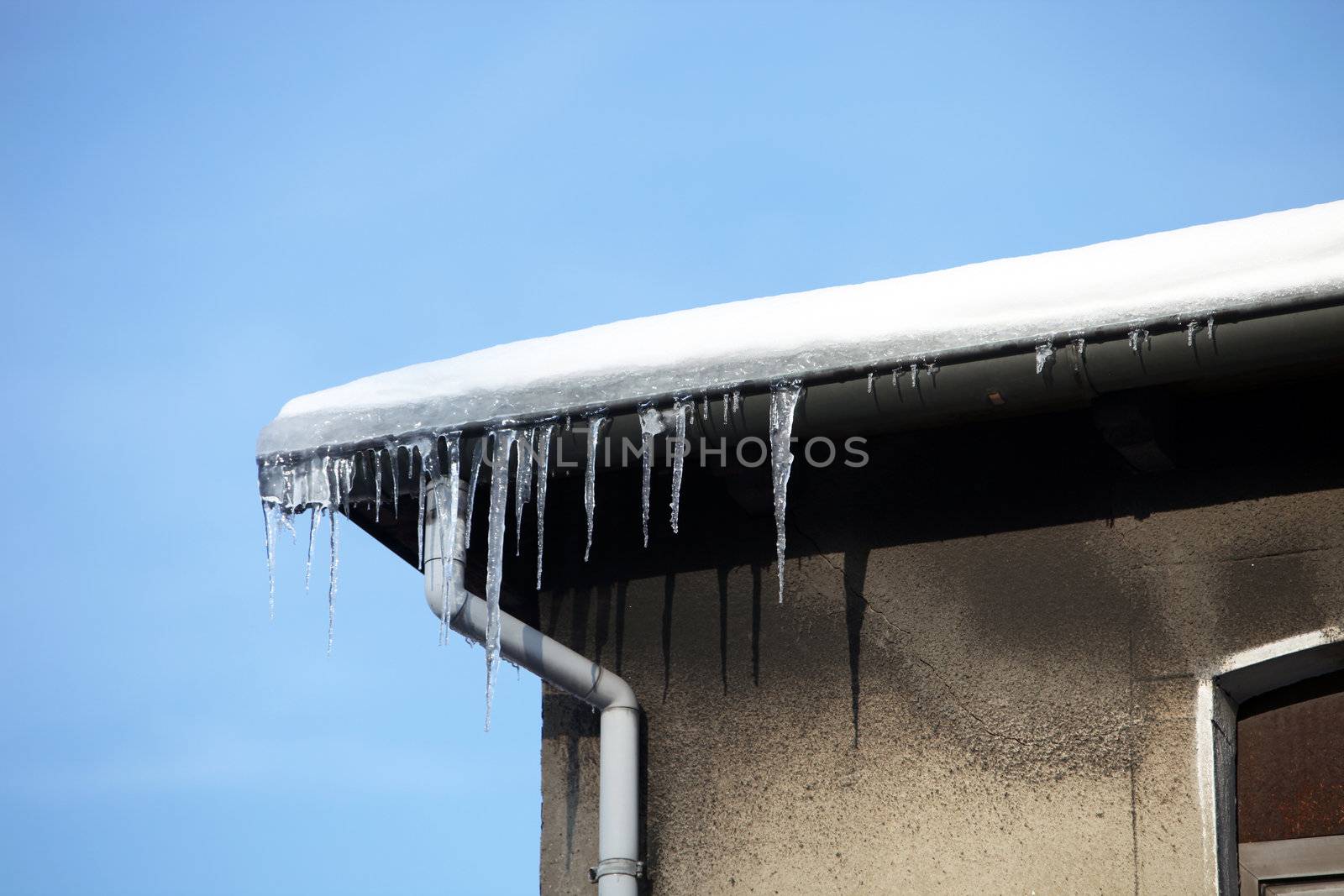 Dangerous icicles on the house against a blue sky - space for text
