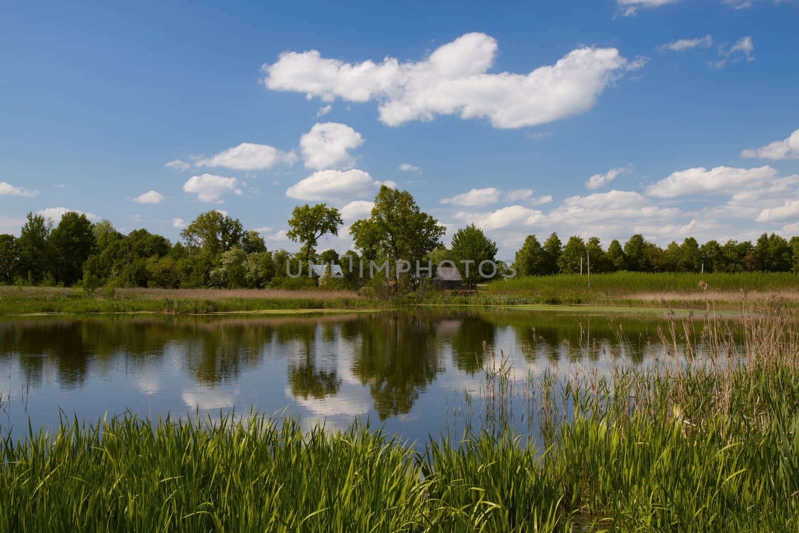 Steading in shore small lake in Lithuania