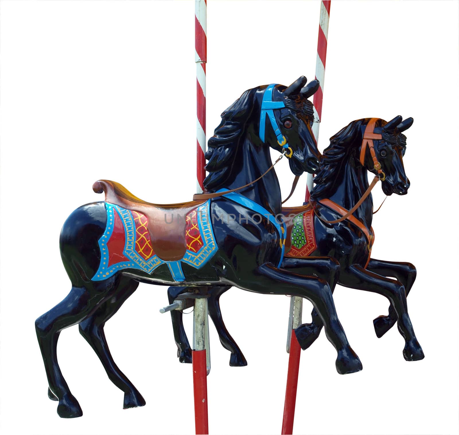 Two Black Merry-Go-Round Horses isolated with clipping path