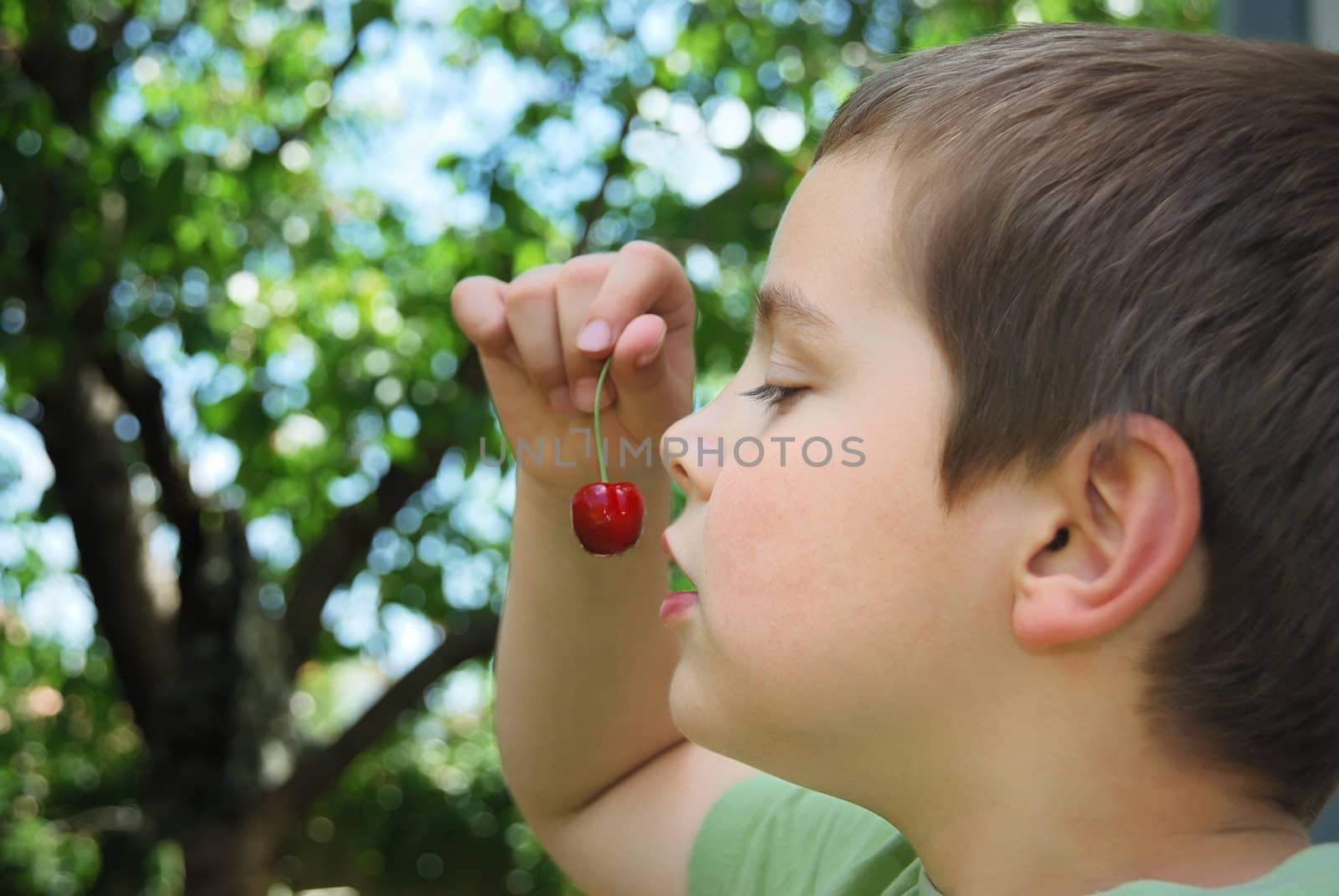 Boy holding a bing cherry in his hand in the front of his mouth like a sweet temptation.