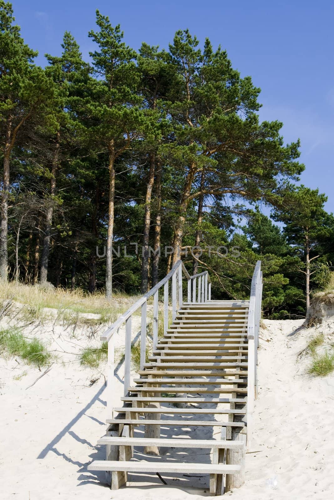 Stairway in the beach in summer by Nikonas