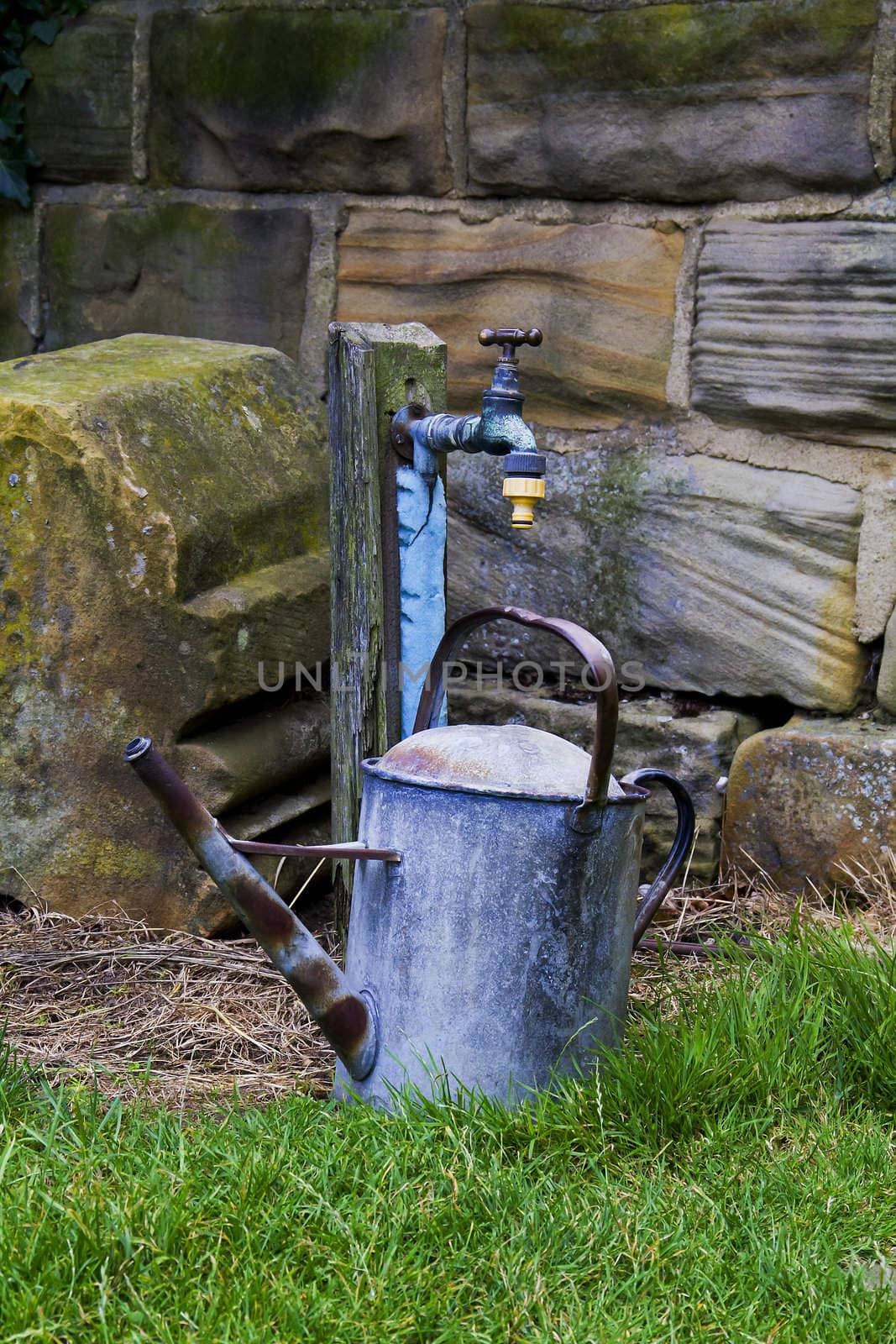 It looks as if it has seen better days this old and weathered watering can with its rust and textured patterns