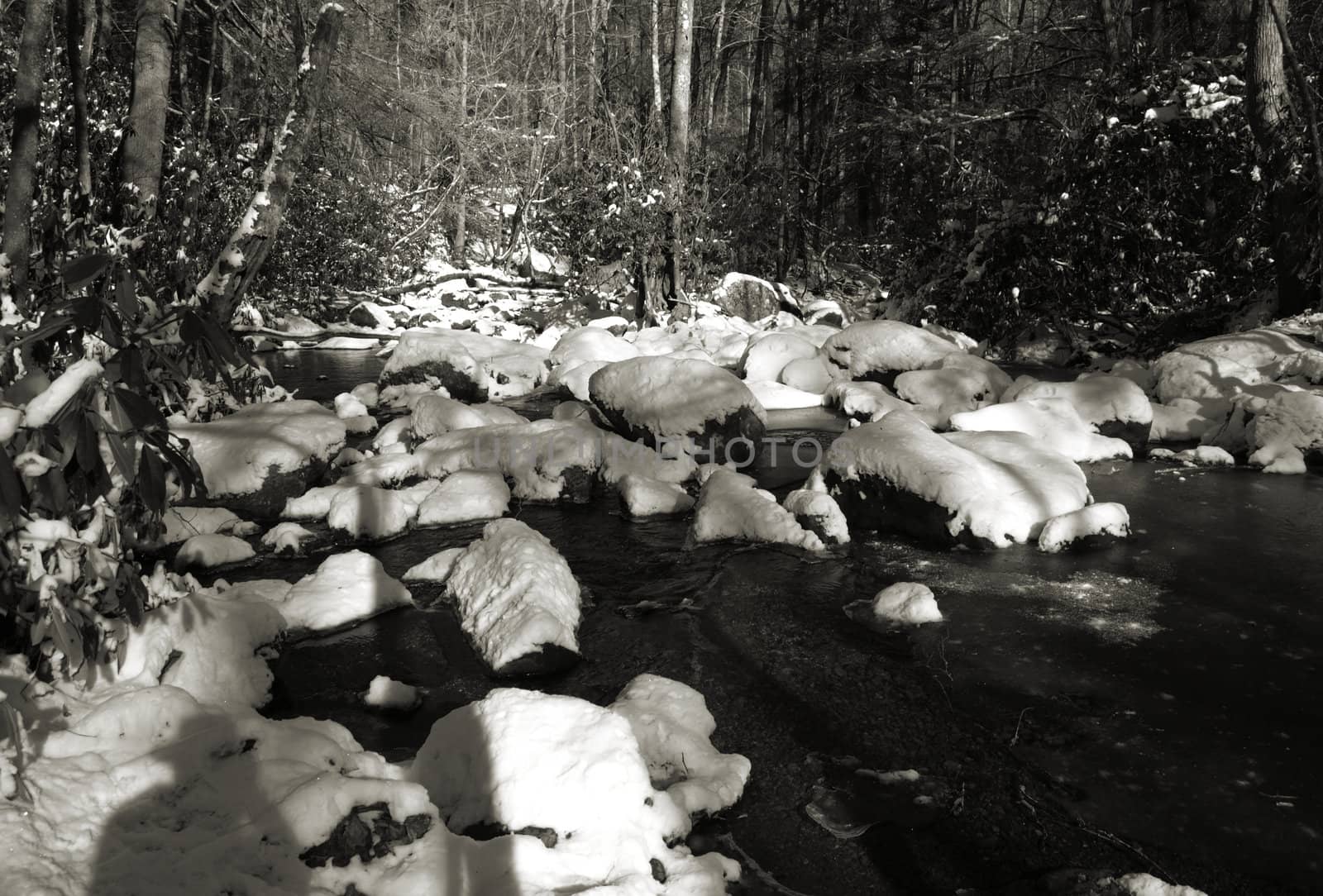 A cold river view shown in black and white