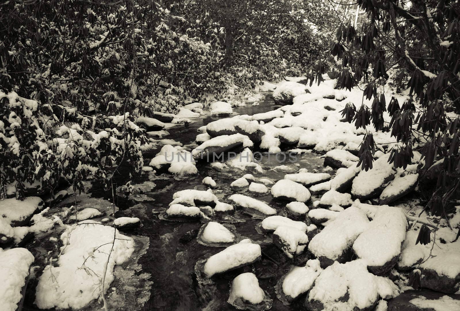 View along the Jacobs Fork River at South Mountain State Park after a snow fall