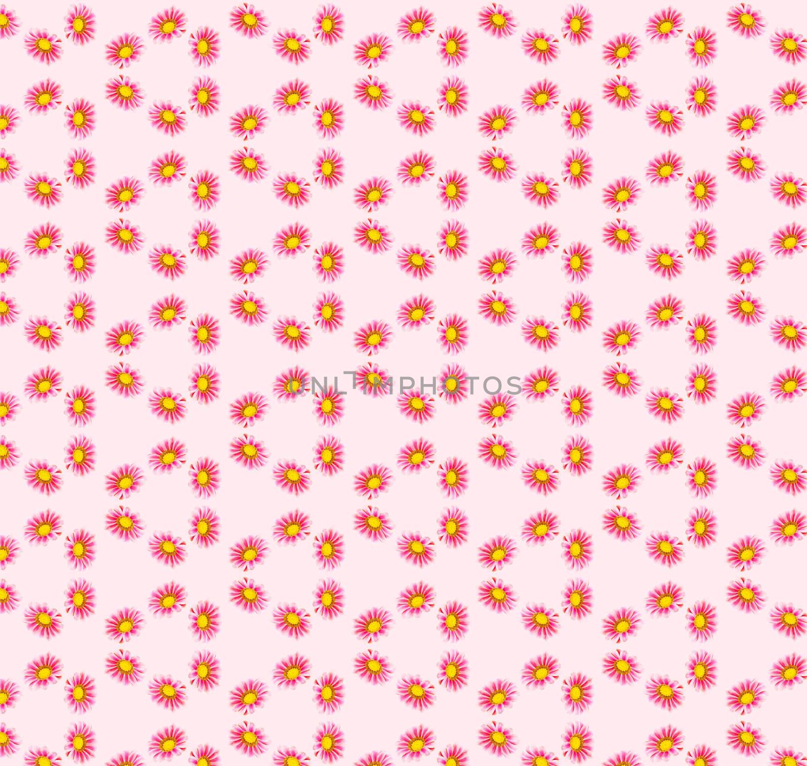 Gazania Sparking Burgundy Seamless pattern with pink background    