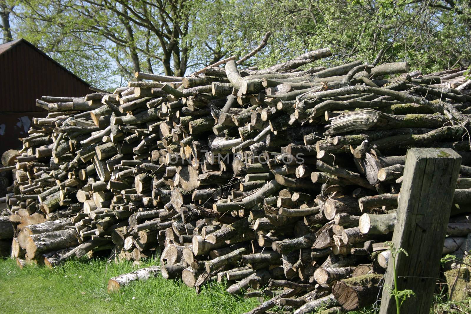 tree logs stacked in a large pile  drying out