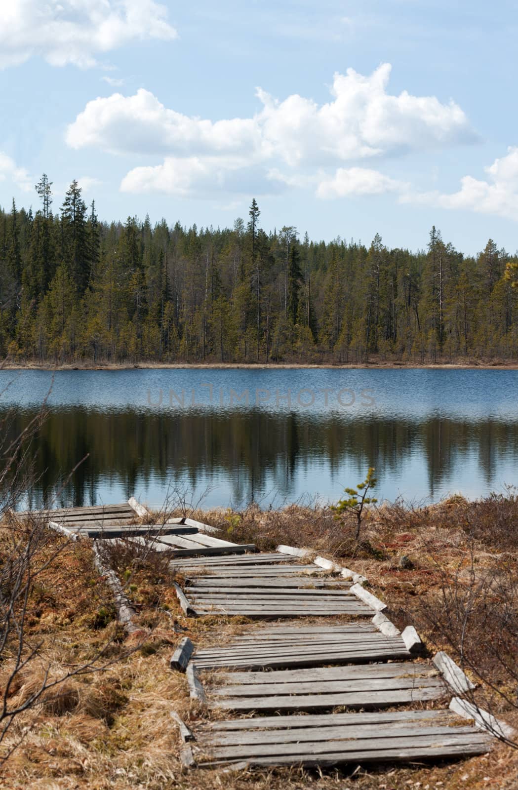 Old wooden pier to lake, coniferous wood, cloud
