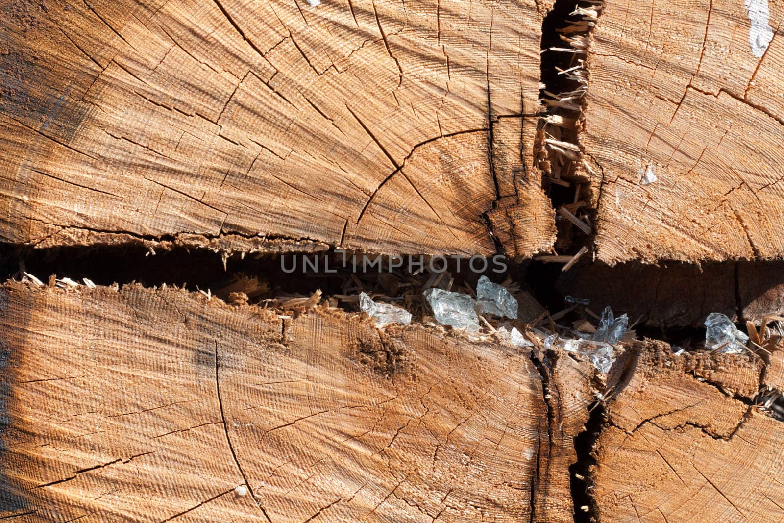 Wooden old stump with rift and beaten by glass