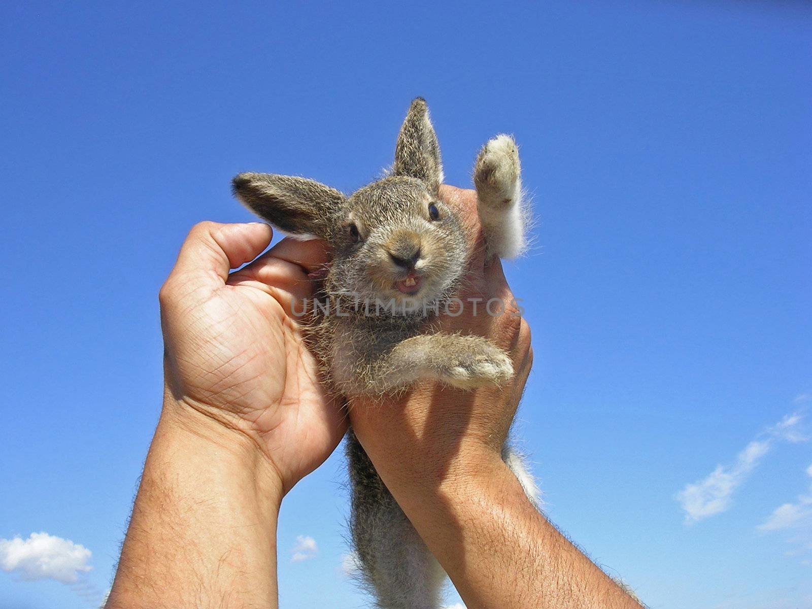 A little hair in hands.           