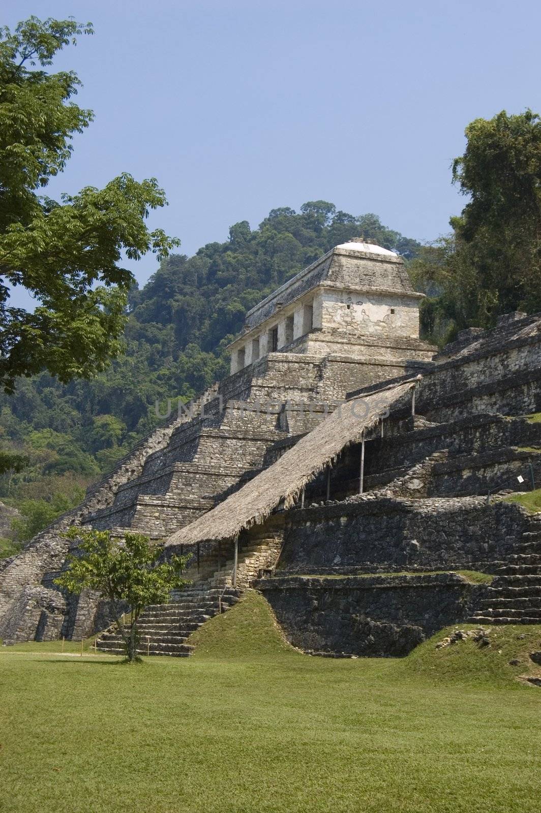Temple of the Inscriptions in the mayan ruins at Palenque, Mexico