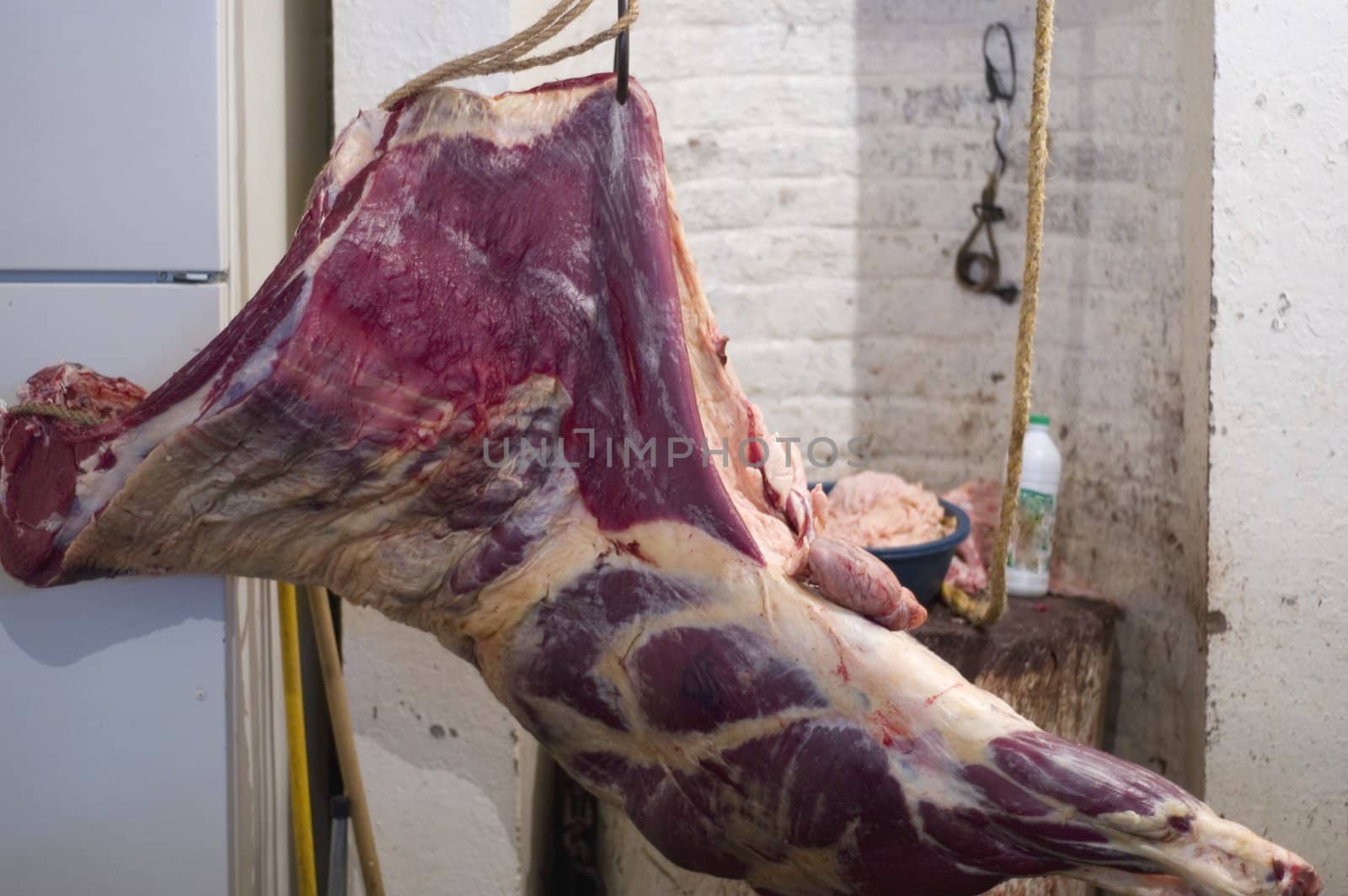 Side of Beef Hanging in a Butcher Shop in Chiapas, Mexico