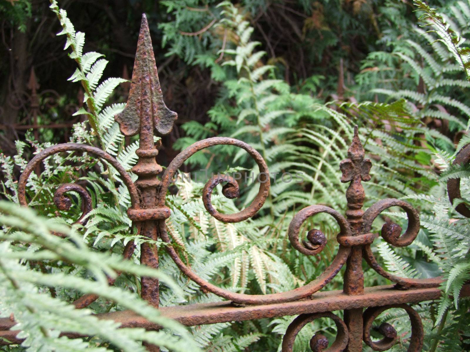 Closeup of a rusty fence at a weathered grave