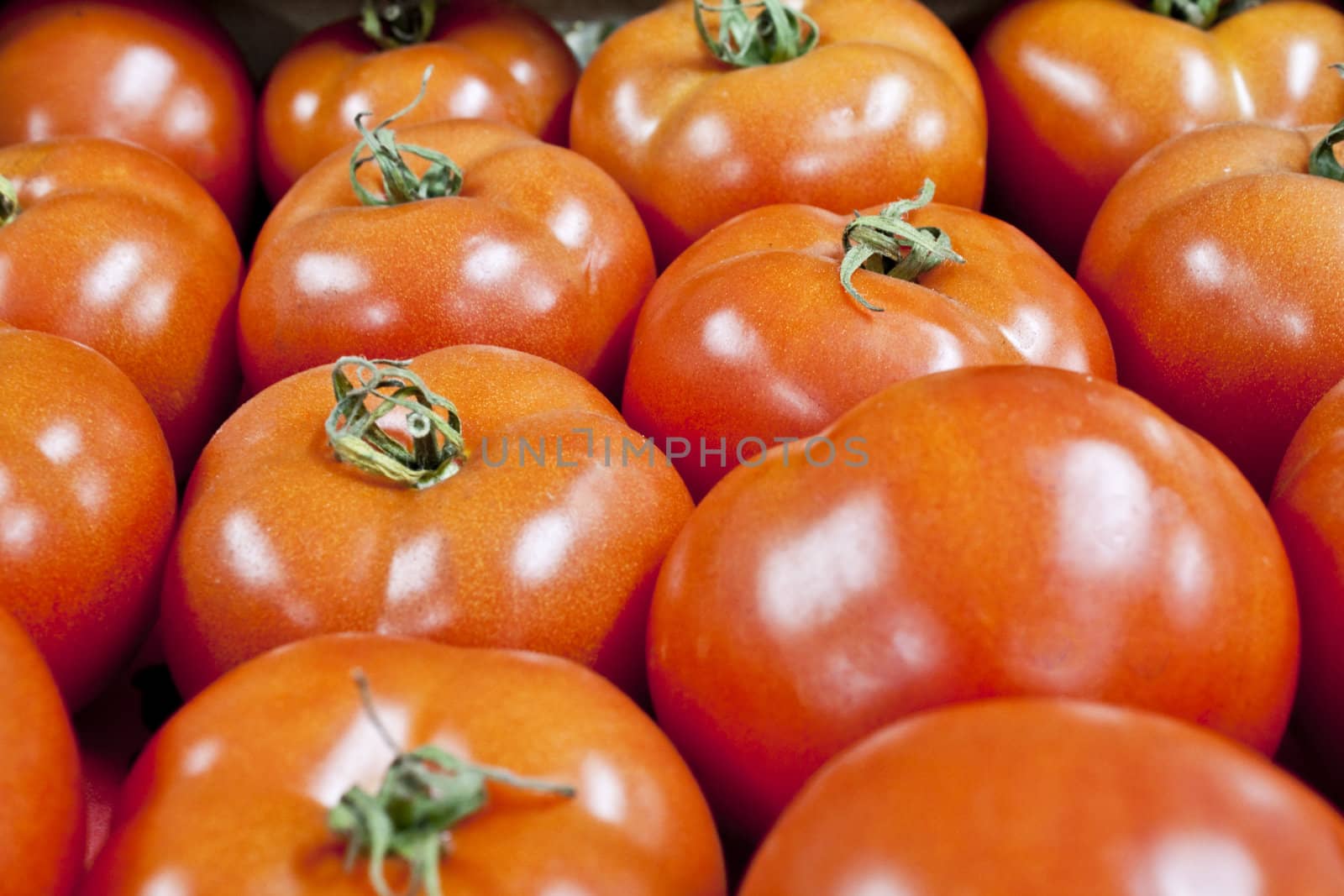 fresh red tomatoes in a heap on a light background