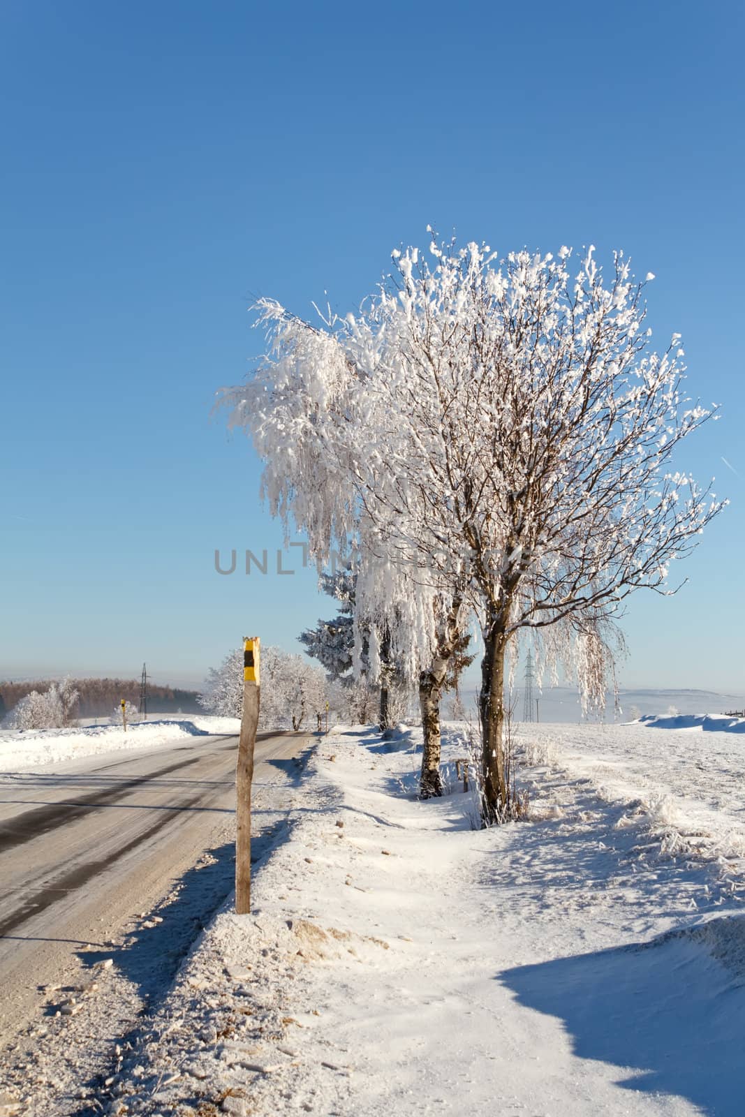 Winter road on a sunny frosty day by artush