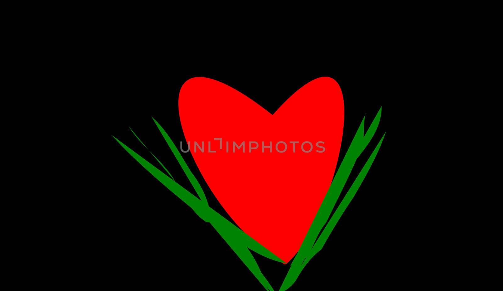 the red heart on black background