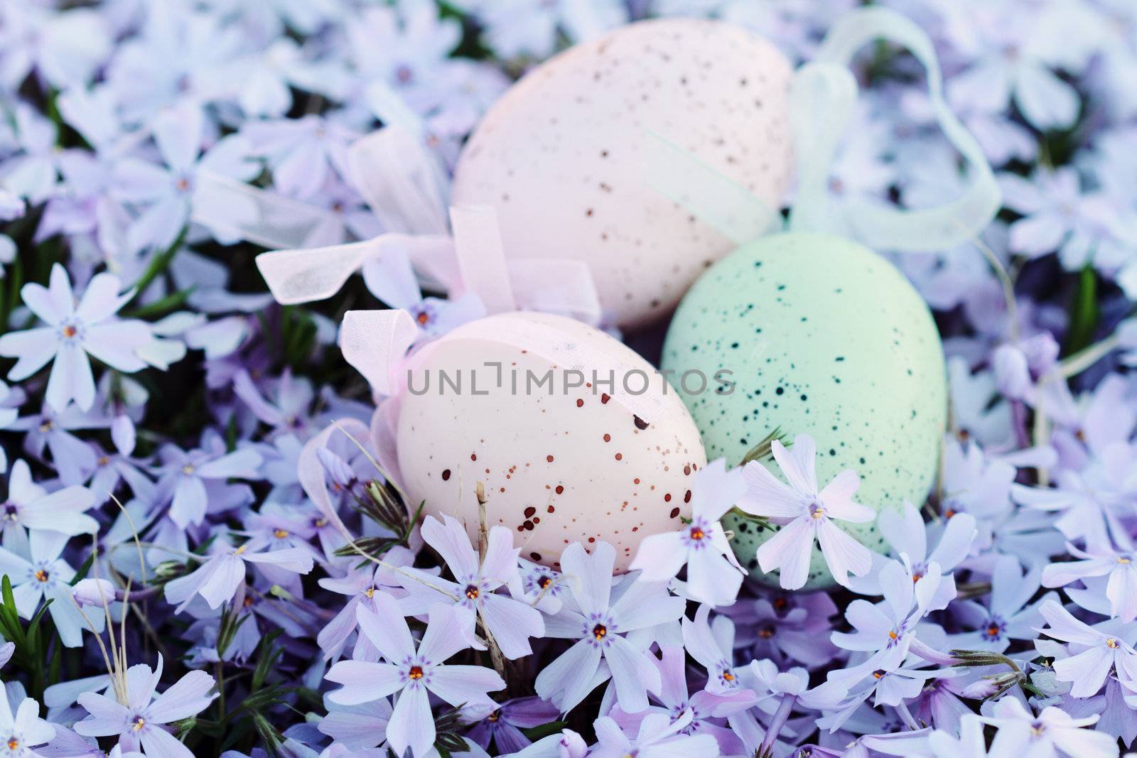 Easter eggs hidden in a bed of spring flowers. Selective focus with extreme shallow DOF.