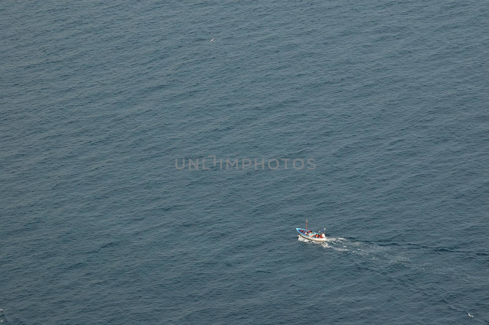 Boat in the sea