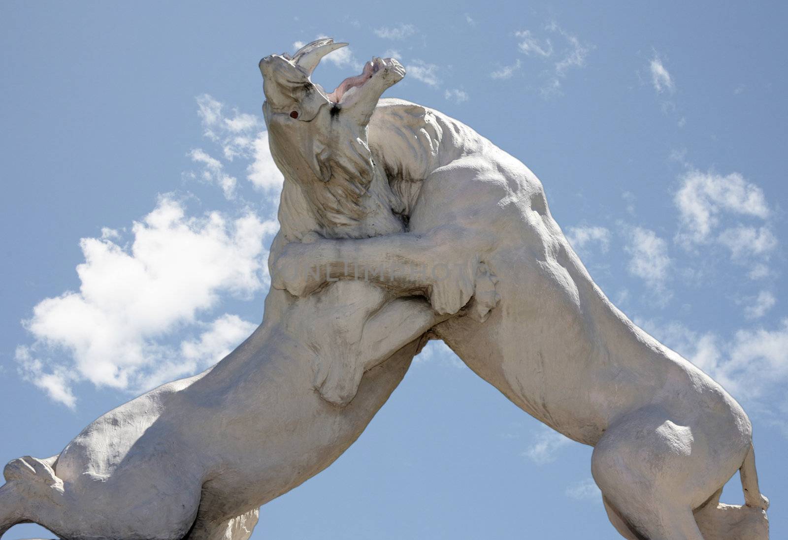 Statue of fighting lions with pretty sky