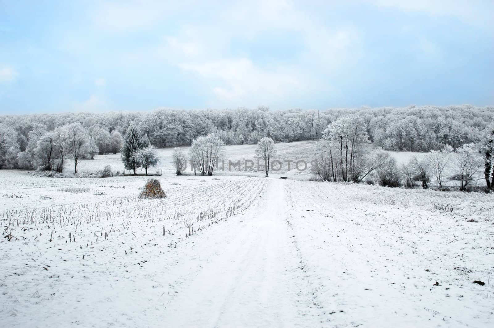 Winter landscape by nahhan