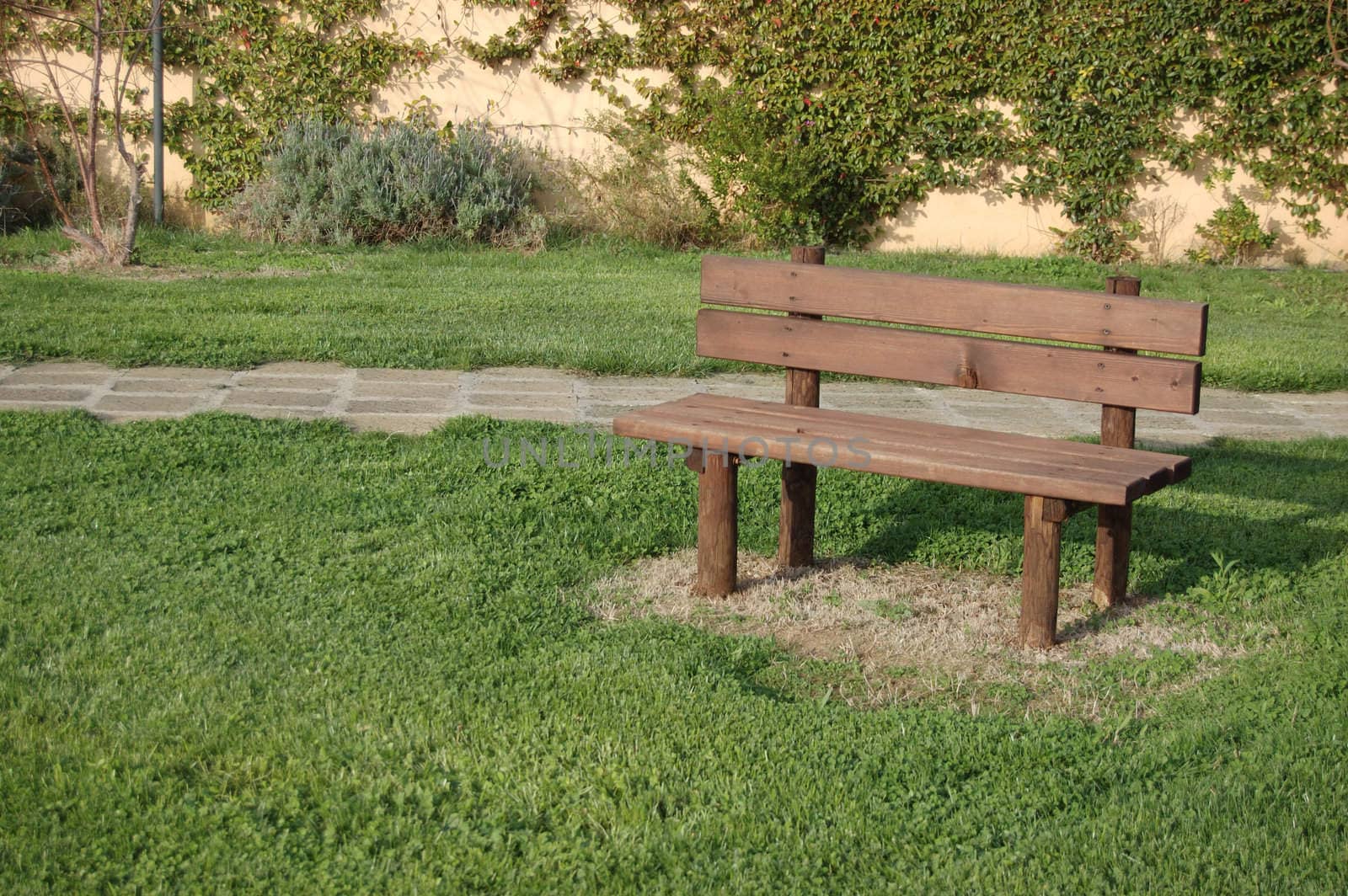 Wooded bench sit in the park