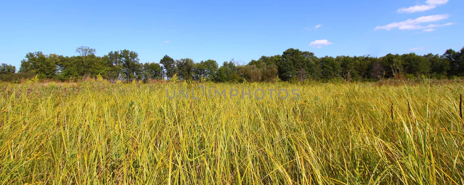 Nachusa Grasslands - Illinois by Wirepec