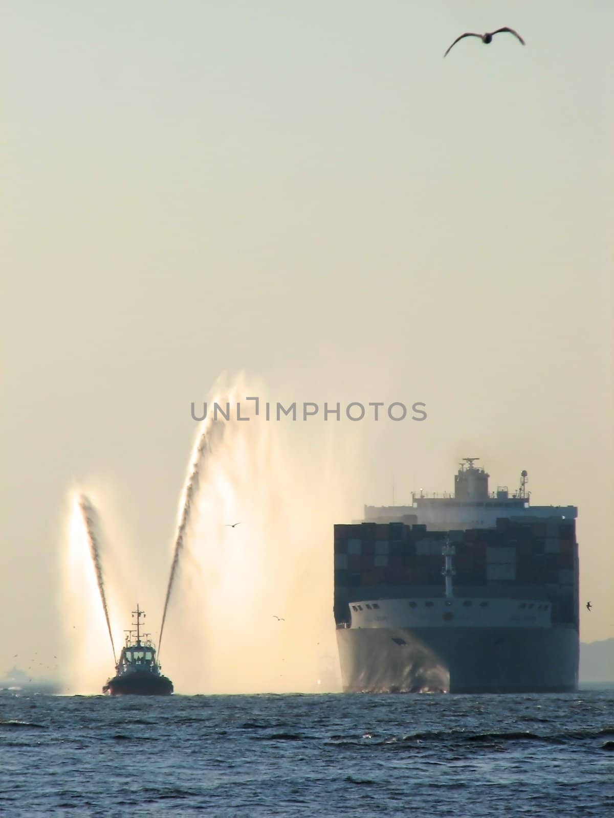 Container ship welcoming by FotoFrank