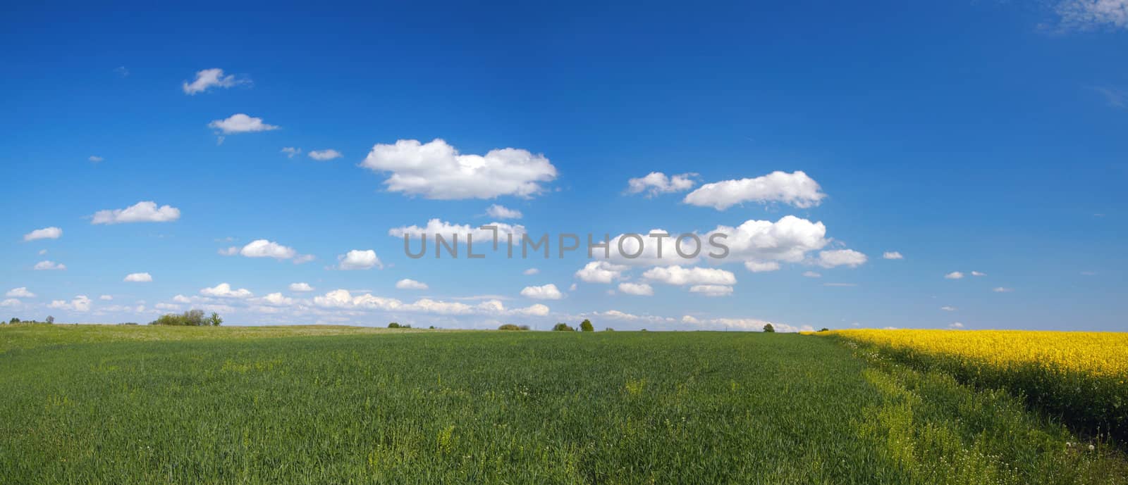 Lithuanian landscape panorama with blue sky and clouds 