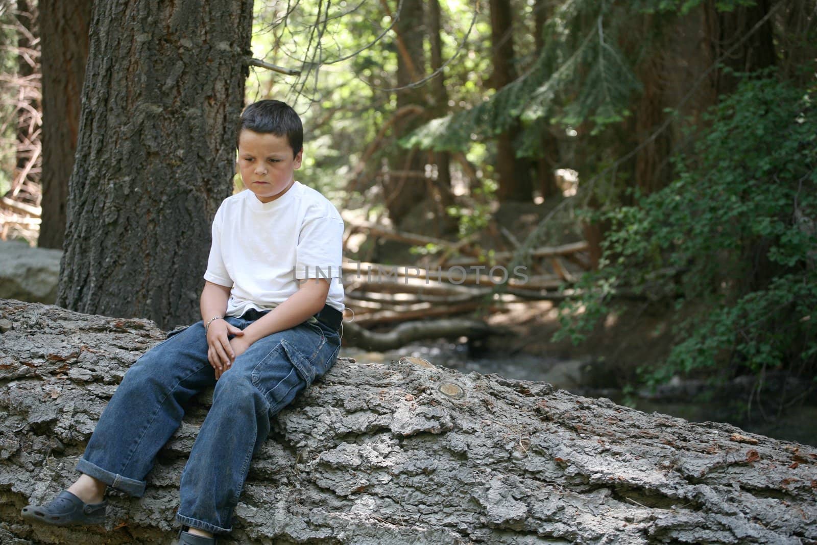 Young boy that appears sad to be sitting on this log in the forest