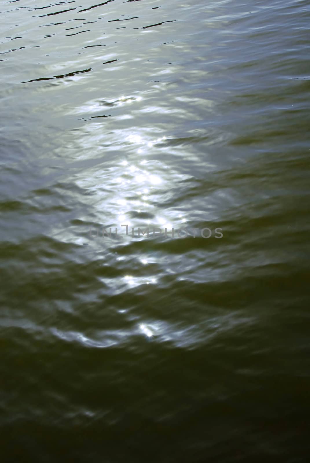 sun reflection on greenish water surface outdoor