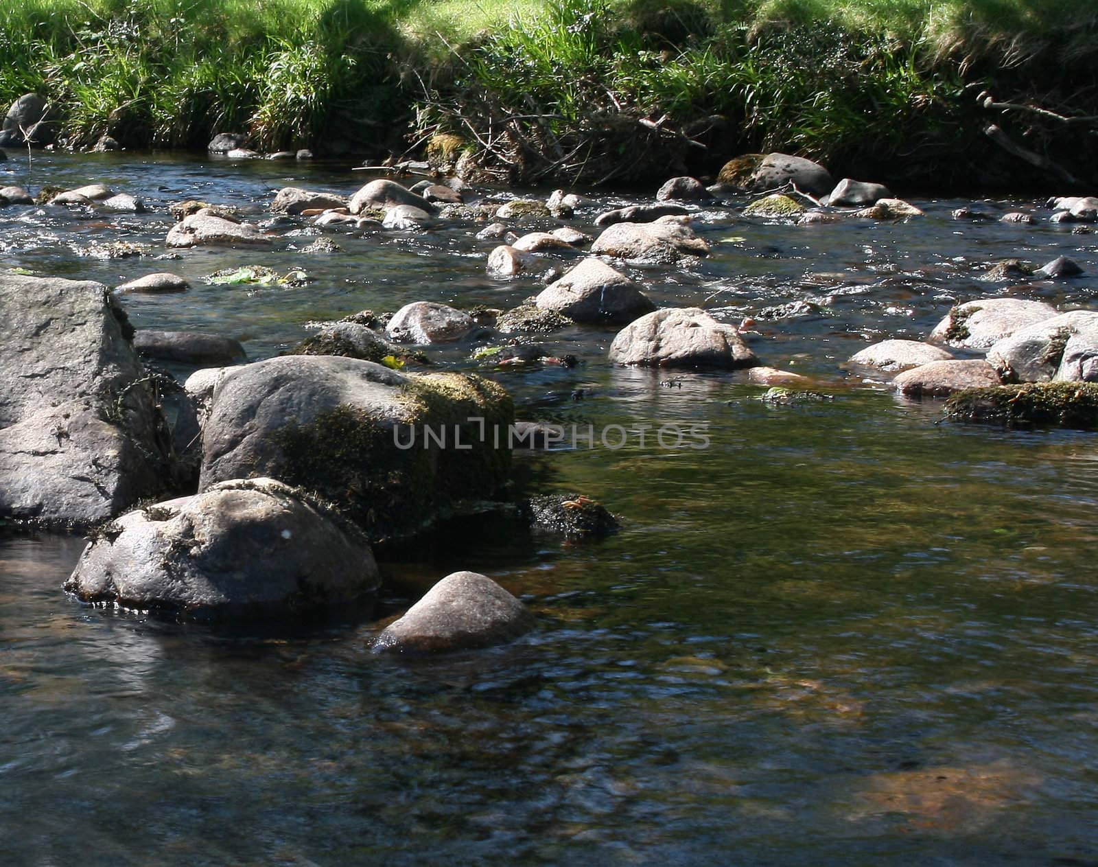 rocky river scene by leafy