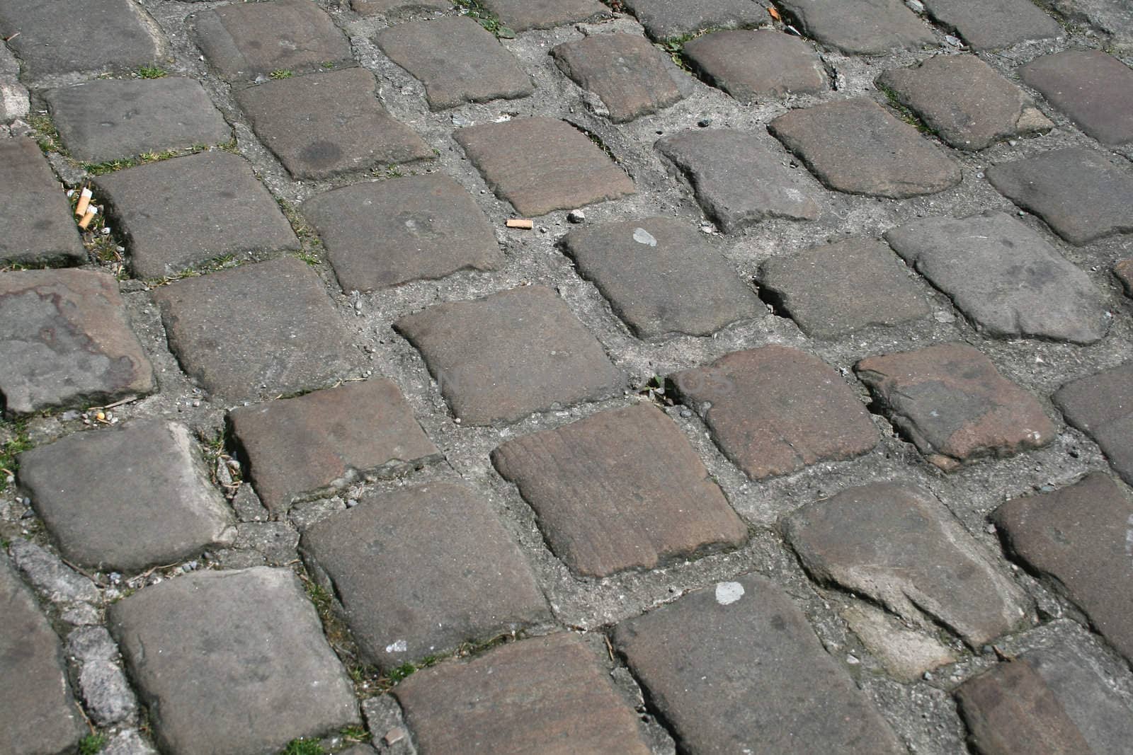 cobble stones by leafy