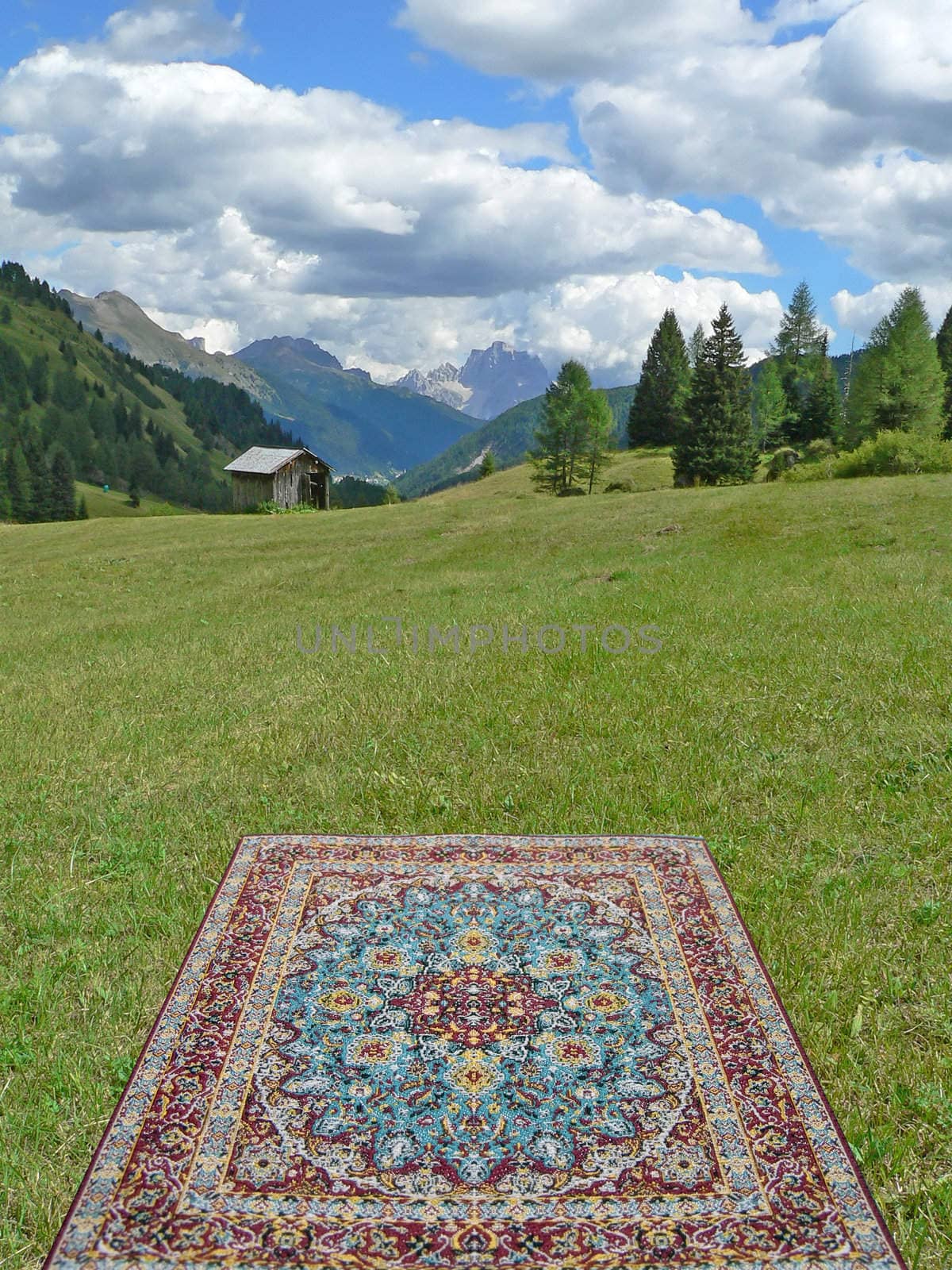 mountain landscape with carpet