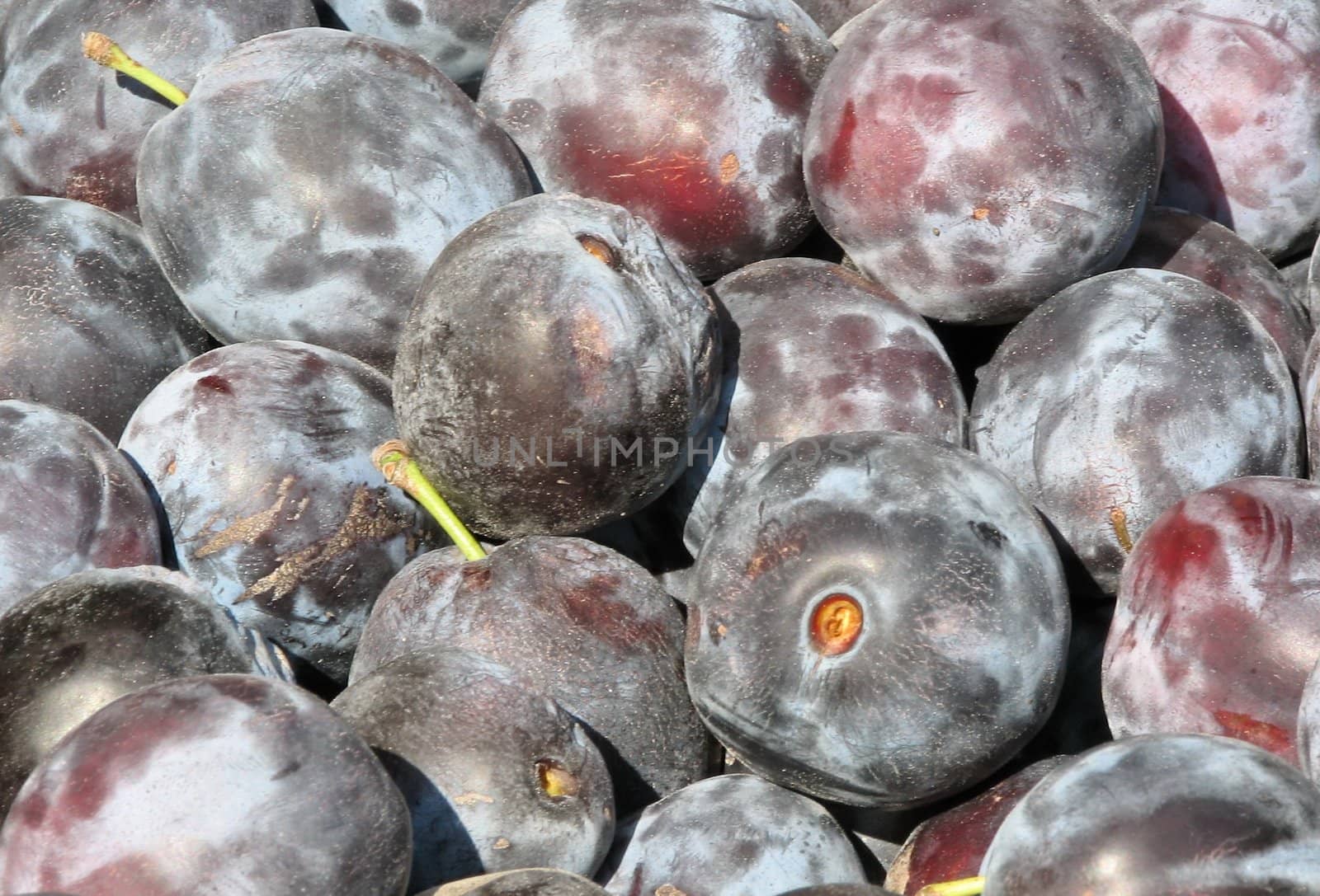 Plums by FotoFrank