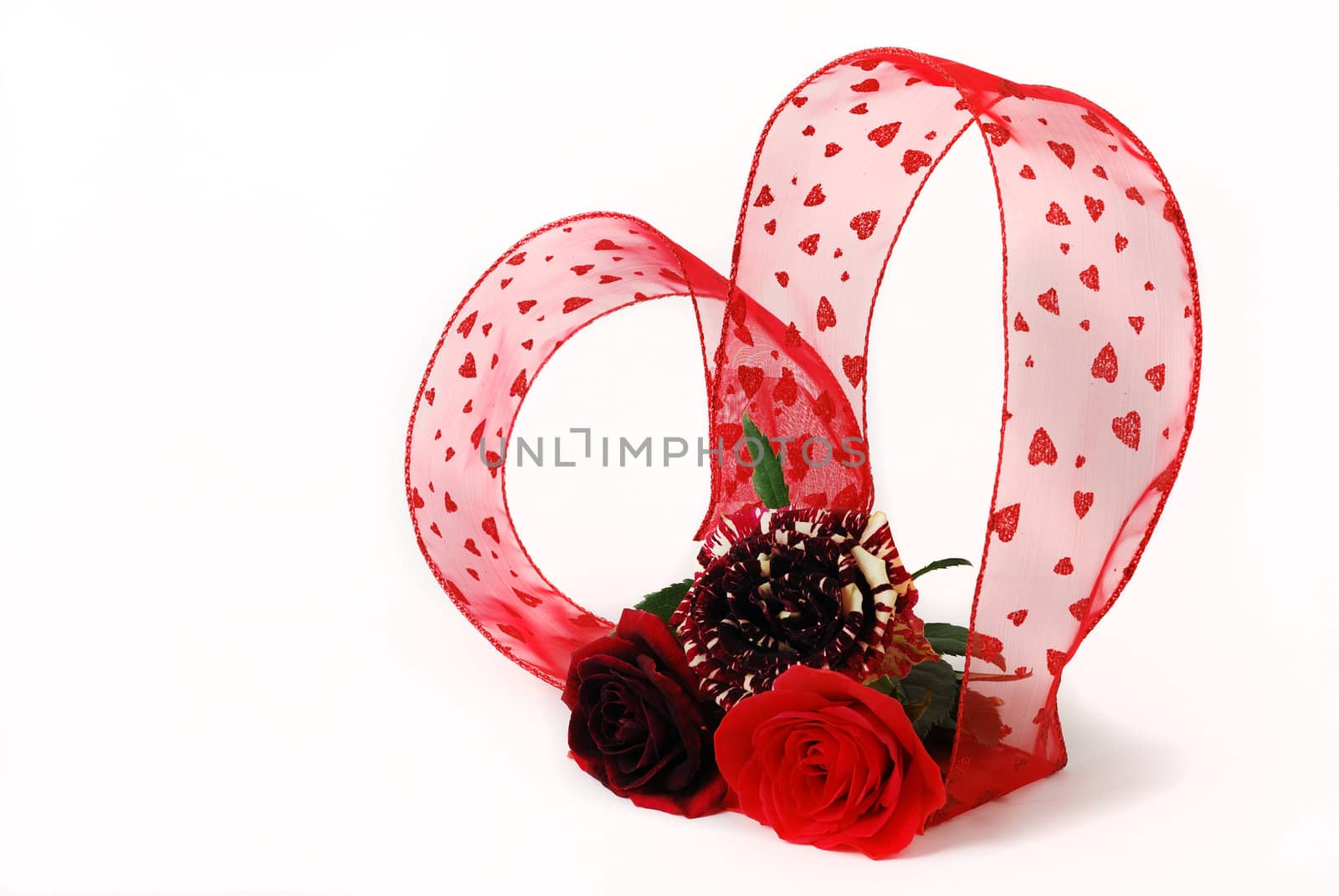 Three different red tint roses with heart shaped ribbon isolated on white background