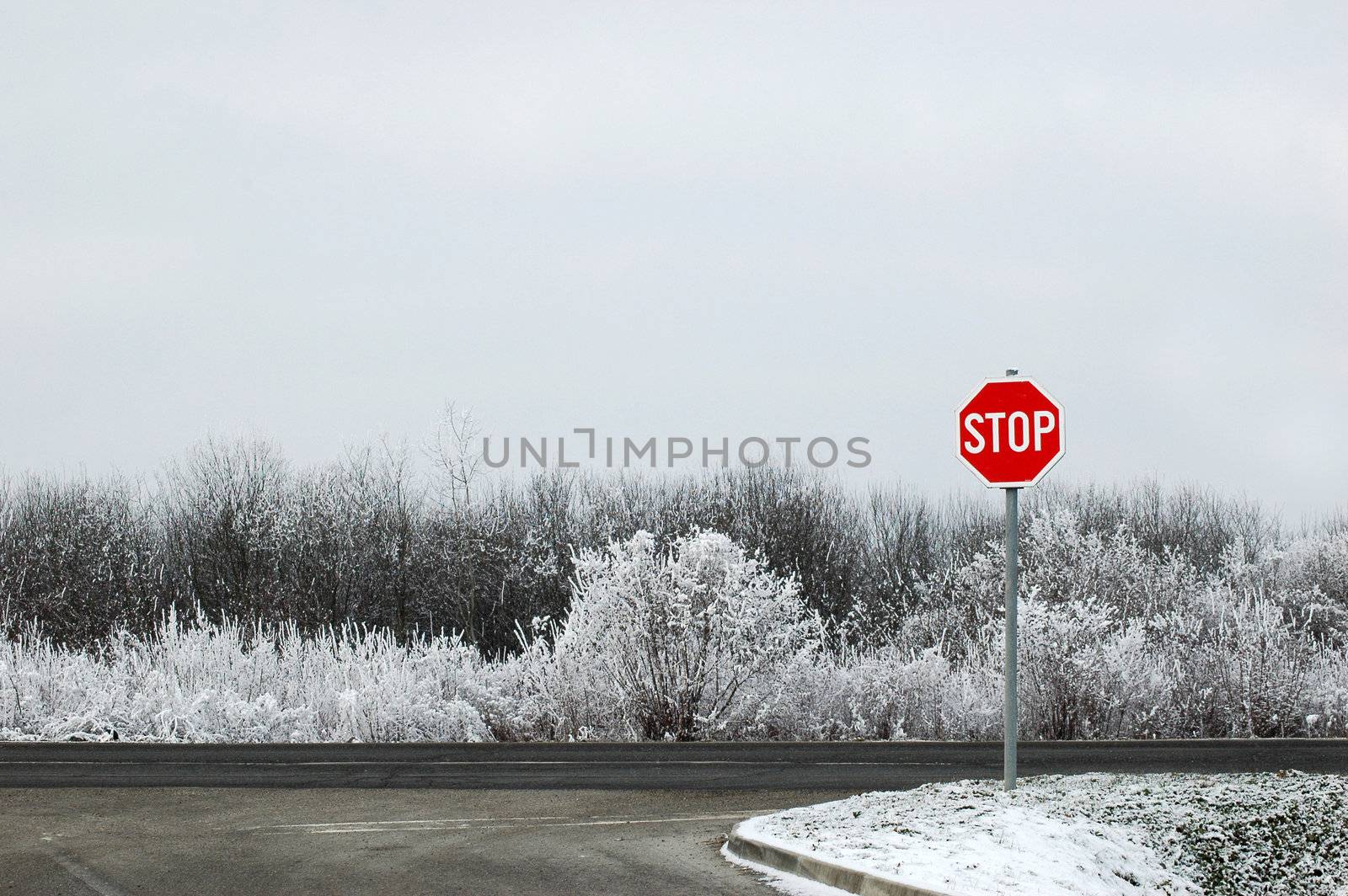 Red road sign stop on winter almost black and white background
