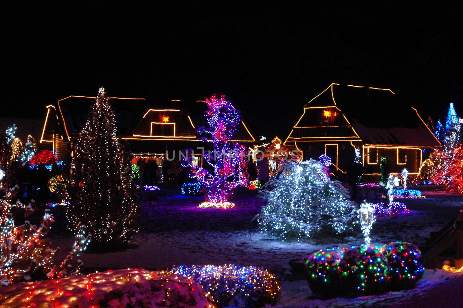 Houses and trees decorated with colorful lights for Christmas