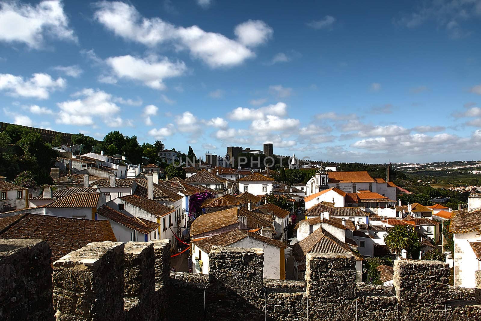 a view of Medieval city Obidos, Portugal