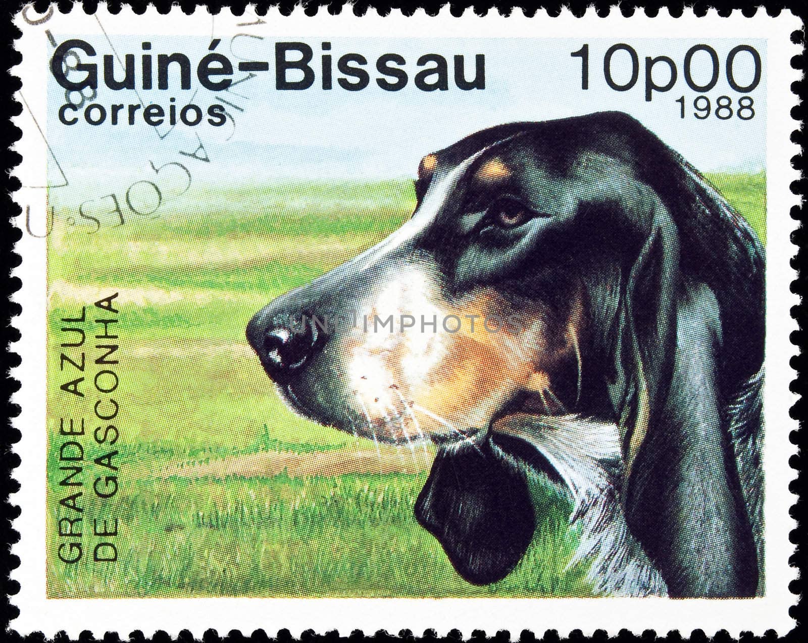 Grande Azul dog stamp. by FER737NG