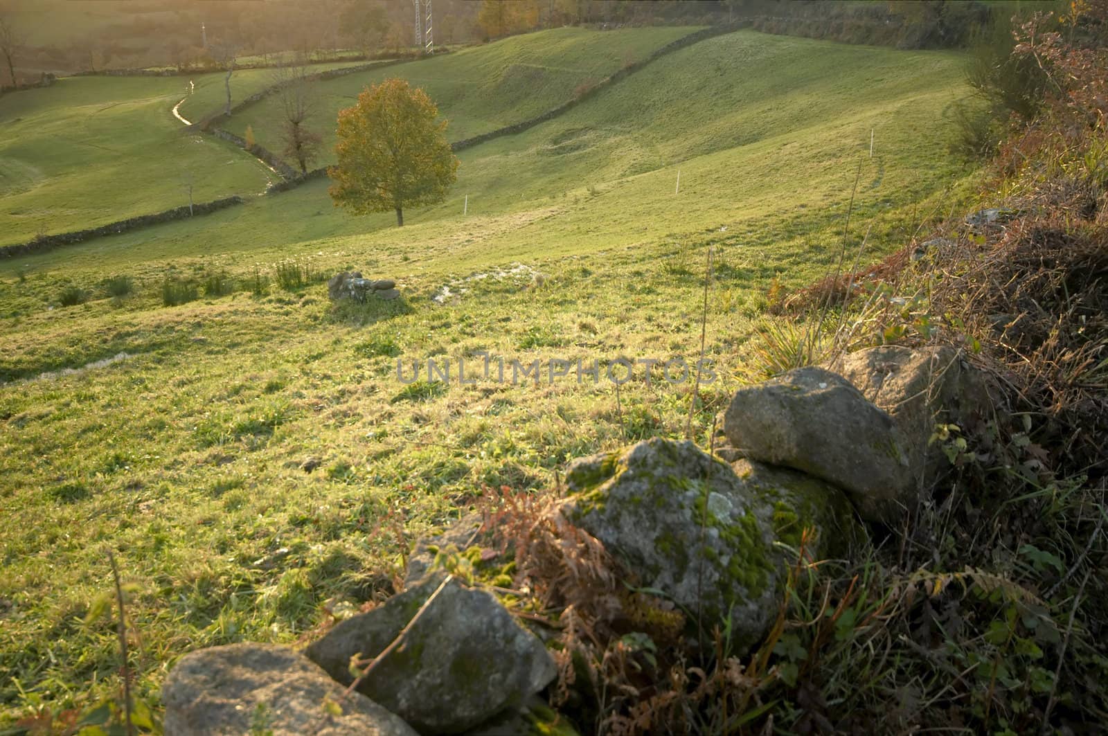 View of pasture at northern Portugal by sunset light