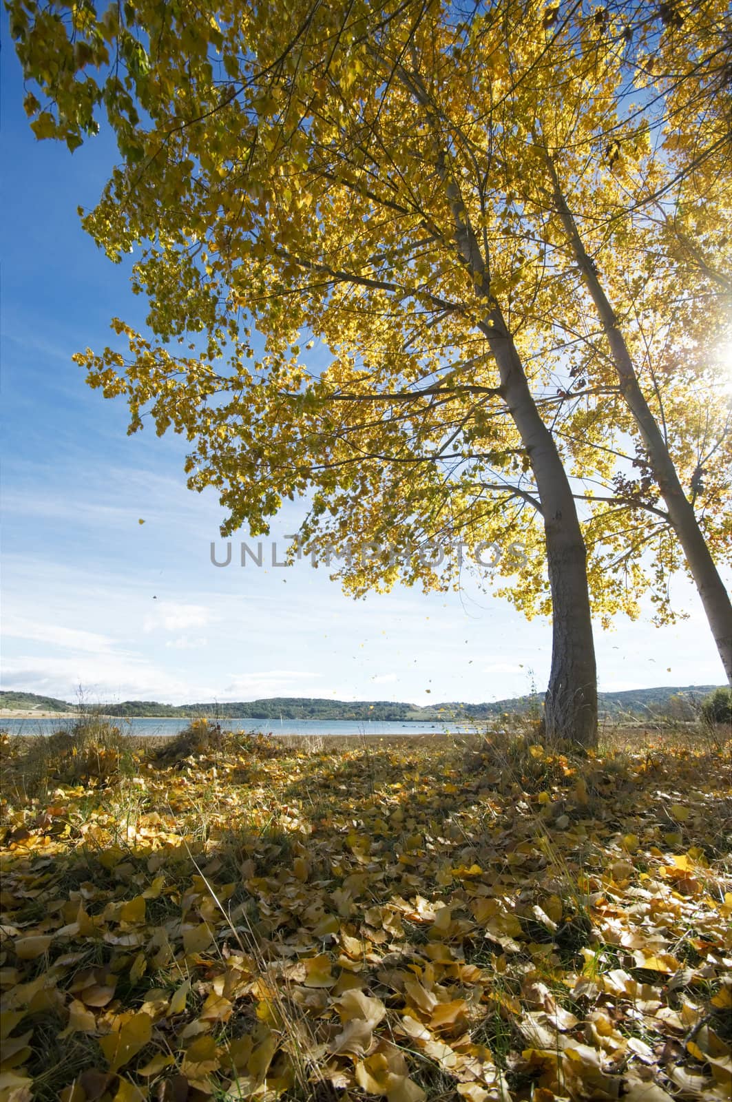 Autumn scene of Northern Portugal