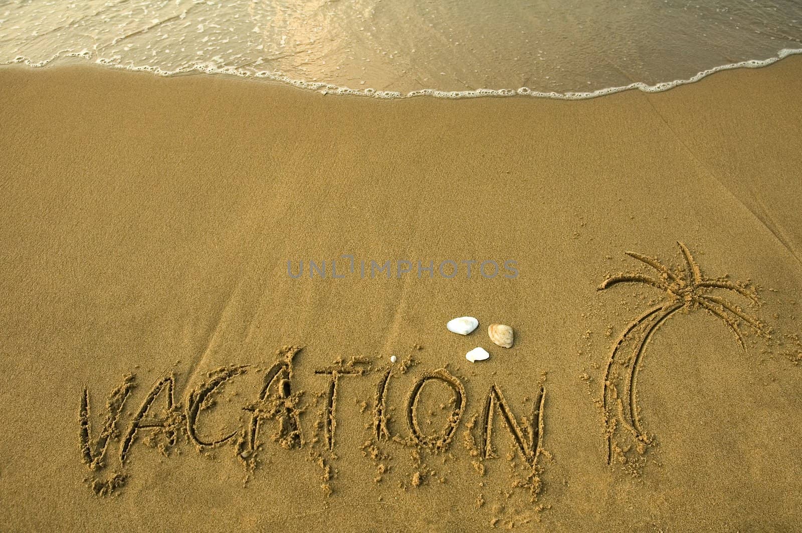 vacation and a palm written in sand, three mussels
